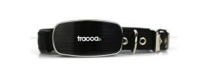 Tracca's GPS tracking for domestic pets