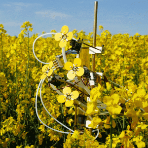 3D printing used to save bee populations