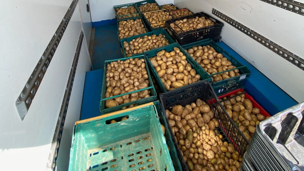 Prototype Projects goes bushcraft wild Prototype Projects goes bushcraft wild