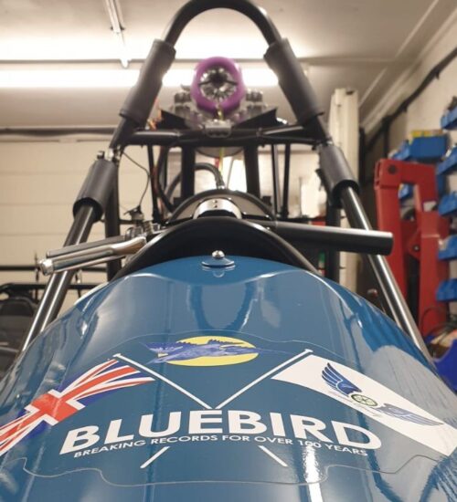 Bluebird (10) Bluebird Sapheria project