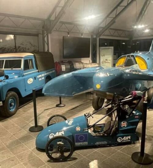 Bluebird (11) Bluebird Sapheria project