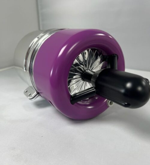 Bluebird (8) Bluebird Sapheria project